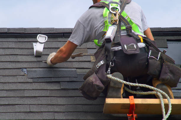 Best Roof Gutter Cleaning  in Leesville, LA