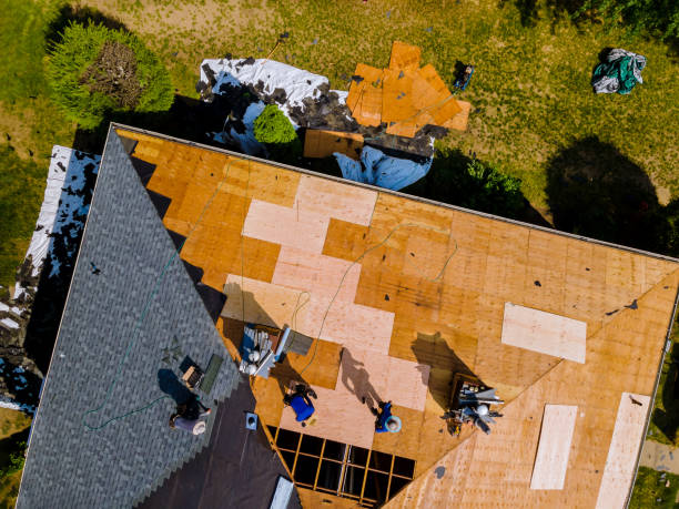 Quick and Trustworthy Emergency Roof Repair Services in Leesville, LA