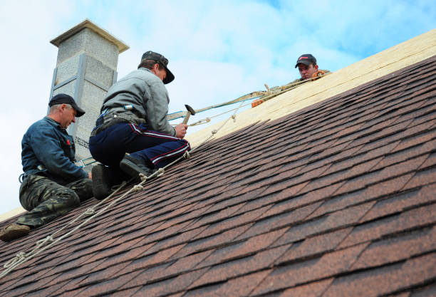 Roof Gutter Cleaning in Leesville, LA